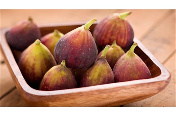 شیره انجیر بهداشتی خالص ایرانی جهت صادرات