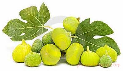 بازار شیره انجیر درجه یک ایرانی